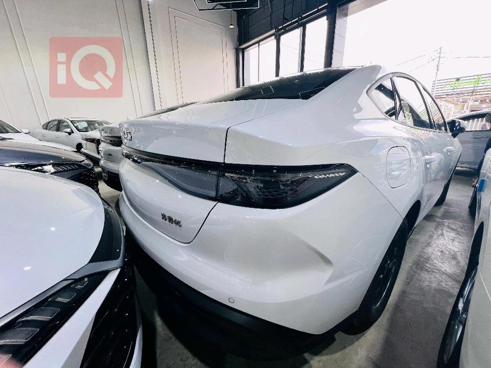 بي واي دي سيل 05 DM-i